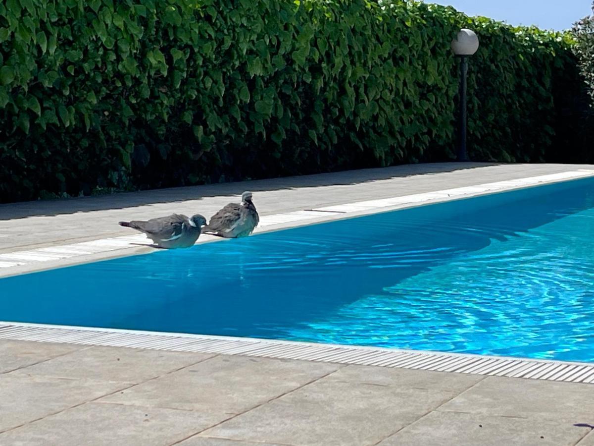 Pansion Margerita Bed & Breakfast Porec Ngoại thất bức ảnh