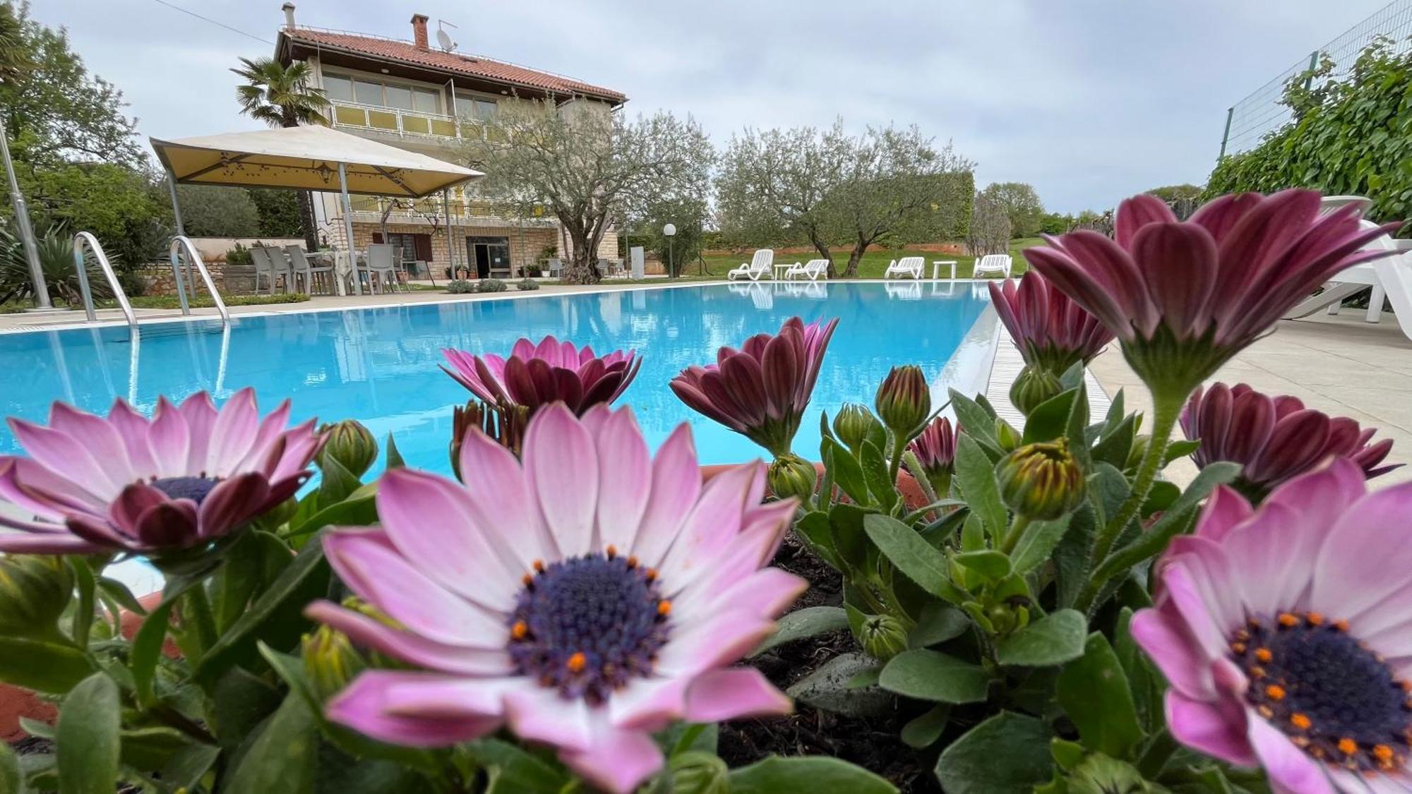 Pansion Margerita Bed & Breakfast Porec Ngoại thất bức ảnh