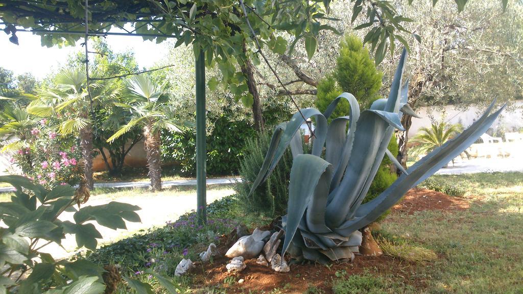 Pansion Margerita Bed & Breakfast Porec Ngoại thất bức ảnh